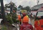 Puting Beliung Robohkan Papan Reklame dan Pohon, Jalur Bandung-Garut Terganggu