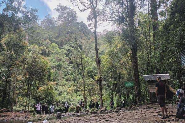 Ranger Gede Pangrango Rapatkan Barisan, Amankan Ribuan Pendaki Tertipu Base Camp Nakal Ranger Gede Pangrango Rapatkan Barisan, Amankan Ribuan Pendaki Tertipu Base Camp Nakal