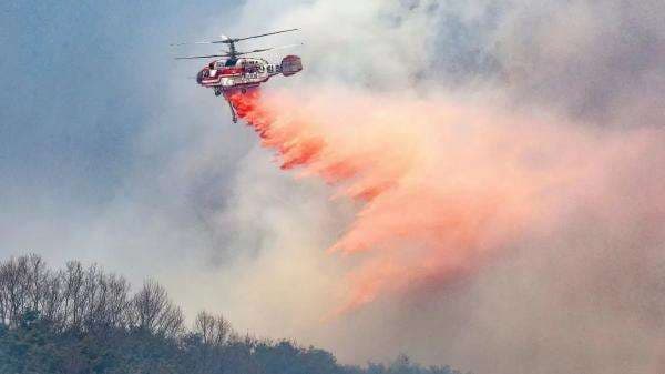 Rasanya seperti Kiamat, Kebakaran Hutan di Korea Selatan Tewaskan 24 Orang Rasanya seperti Kiamat, Kebakaran Hutan di Korea Selatan Tewaskan 24 Orang