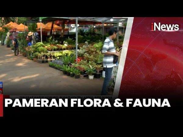 Ribuan Warga Padati Pameran Flona 2025 di Lapangan Banteng Ribuan Warga Padati Pameran Flona 2025 di Lapangan Banteng