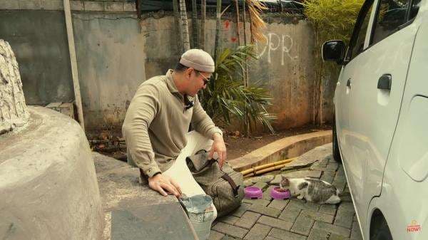 Cat Lovers! Ini Etika dan Persiapan Street Feeding ala Robby Purba Cat Lovers! Ini Etika dan Persiapan Street Feeding ala Robby Purba