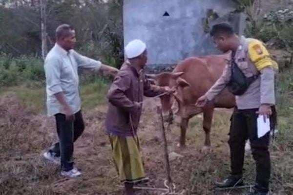 Hilang dari Kandang, Sapi Petani di Sampang Ditemukan di Pinggir Sungai Diduga Dicuri Hilang dari Kandang, Sapi Petani di Sampang Ditemukan di Pinggir Sungai Diduga Dicuri