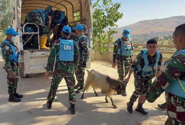 Salut! Kontingen Garuda Serahkan 100 Hewan Kurban di Tanah Perang Lebanon Selatan Salut! Kontingen Garuda Serahkan 100 Hewan Kurban di Tanah Perang Lebanon Selatan