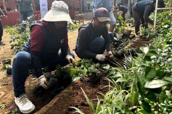 SDN Babakan Kencana Sukabumi Sambut Baik Konsep Green School dari MNC Peduli dan MNC Land SDN Babakan Kencana Sukabumi Sambut Baik Konsep Green School dari MNC Peduli dan MNC Land