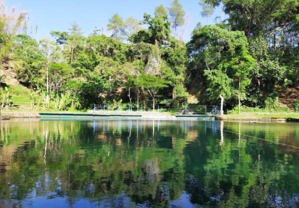 Segarnya Mata Air Candi Sumberawan Malang, Tak Pernah Kering dan Bisa Sembuhkan Penyakit Segarnya Mata Air Candi Sumberawan Malang, Tak Pernah Kering dan Bisa Sembuhkan Penyakit