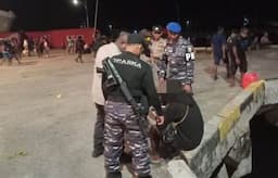  Selundupkan 31 Paket Ganja ke Nabire, Pria di Jayapura Ditangkap Prajurit TNI AL   