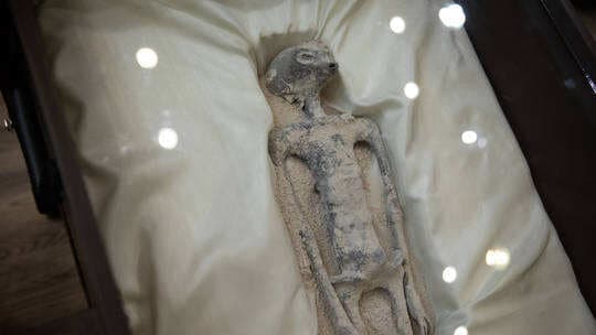 Sempat Jadi Misteri, Analisis Forensik Ungkap Wujud Asli Mumi Alien Peru Sempat Jadi Misteri, Analisis Forensik Ungkap Wujud Asli Mumi Alien Peru