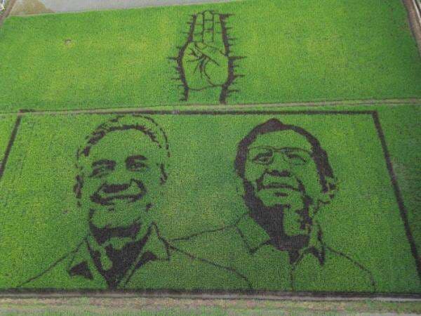 Seniman Pari Corek Sulap Sawah Jadi Gambar Ganjar-Mahfud: Bentuk Dukungan dan Kecintaan Seniman Pari Corek Sulap Sawah Jadi Gambar Ganjar-Mahfud: Bentuk Dukungan dan Kecintaan