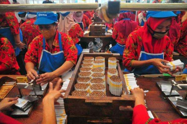 Serikat Pekerja Wanti-wanti PP 28/2024Bisa Tekan Industri Tembakau dan Picu PHK Massal Serikat Pekerja Wanti-wanti PP 28/2024Bisa Tekan Industri Tembakau dan Picu PHK Massal