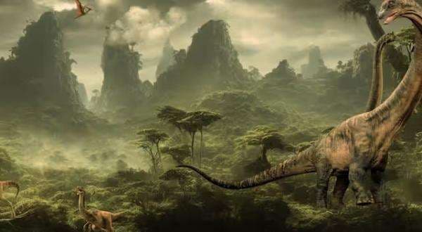 Setiap Dinosaurus Memiliki Warna Bulu yang Berbeda-beda, Ini Buktinya Setiap Dinosaurus Memiliki Warna Bulu yang Berbeda-beda, Ini Buktinya