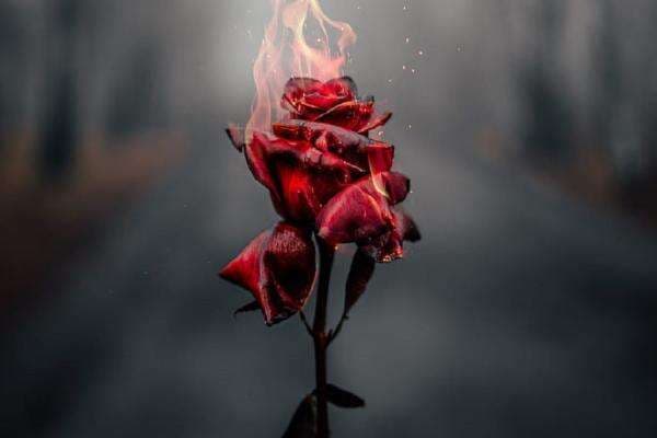 Siapa Pemilik Dosa Jariyah? Dosa Mengerikan yang Terus Ditimpakan hingga ke Alam Barzakh Siapa Pemilik Dosa Jariyah? Dosa Mengerikan yang Terus Ditimpakan hingga ke Alam Barzakh