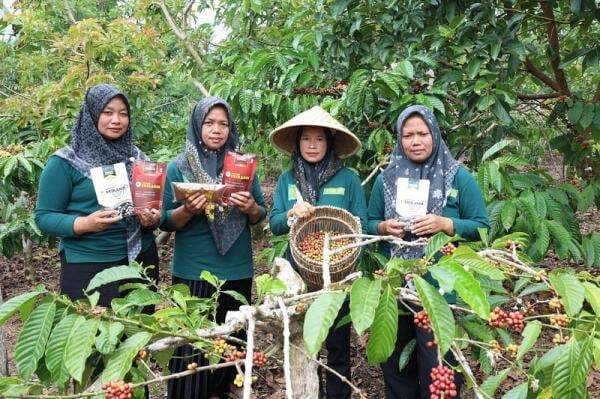 Bangun Koperasi Modern, LPDB Optimalkan Program Inkubator Bangun Koperasi Modern, LPDB Optimalkan Program Inkubator