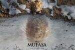 Sinopsis Film Animasi Live Action Mufasa: The Lion King Sinopsis Film Animasi Live Action Mufasa: The Lion King