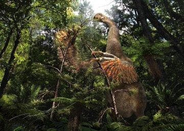 Spesies Dinosaurus Misterius Terdeteksi lewat Fosil Cakarl Besar Spesies Dinosaurus Misterius Terdeteksi lewat Fosil Cakarl Besar
