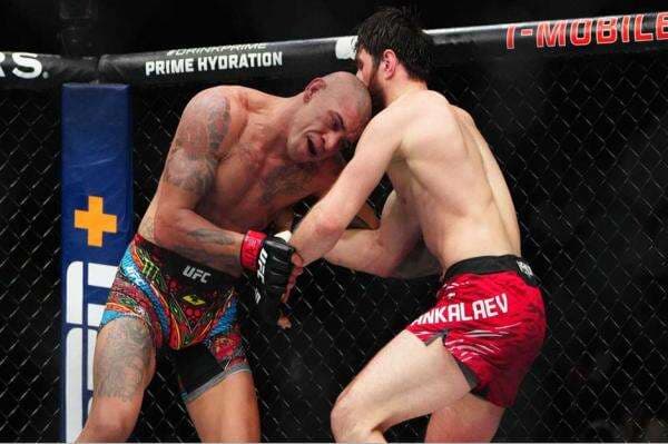 Strategi Cage Stalling Bikin Geger UFC, Alex Pereira Usulkan Perubahan Aturan! Strategi Cage Stalling Bikin Geger UFC, Alex Pereira Usulkan Perubahan Aturan!