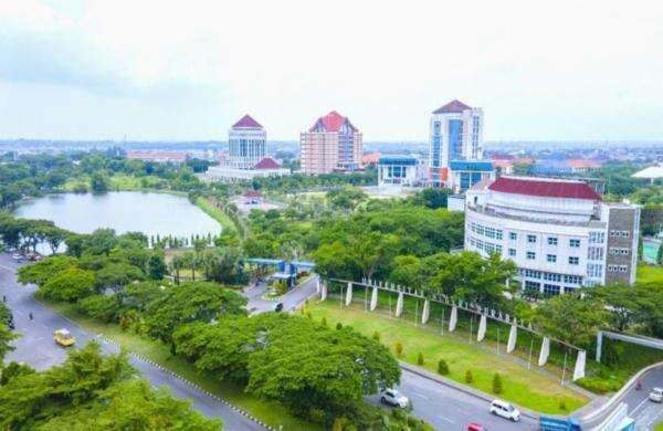 Tak Ada UI atau UGM, Ini 20 PTN yang Menerima Peserta SNBT 2025 Terbanyak Tak Ada UI atau UGM, Ini 20 PTN yang Menerima Peserta SNBT 2025 Terbanyak