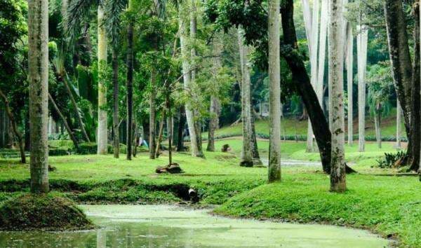 5 Taman di Jakarta Beroperasi 24 Jam, Ini Daftarnya 5 Taman di Jakarta Beroperasi 24 Jam, Ini Daftarnya