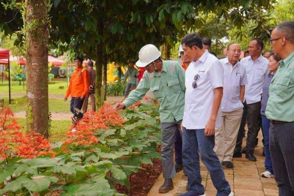 Wujudkan Tambang Lestari, MIND ID dan Vale Indonesia Reklamasi 3.791 Hektare di Sulawesi Wujudkan Tambang Lestari, MIND ID dan Vale Indonesia Reklamasi 3.791 Hektare di Sulawesi