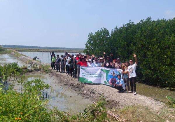 Tangkal Abrasi, PHE OSES Tanam 20.000 Mangrove di Lampung Timur Tangkal Abrasi, PHE OSES Tanam 20.000 Mangrove di Lampung Timur