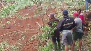 Tebing Longsor di Tasikmalaya Timpa 4 Petani, 2 Orang Masih Tertimbun Tebing Longsor di Tasikmalaya Timpa 4 Petani, 2 Orang Masih Tertimbun