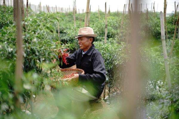Laporkan Dedi Mulyadi ke Komnas HAM Terkait Program Barak Militer, Warga Babelan: Melanggar Hak Asasi Laporkan Dedi Mulyadi ke Komnas HAM Terkait Program Barak Militer, Warga Babelan: Melanggar Hak Asasi