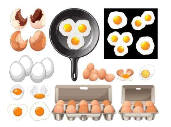 5 Makanan yang Bikin Anak Cerdas 5 Makanan yang Bikin Anak Cerdas