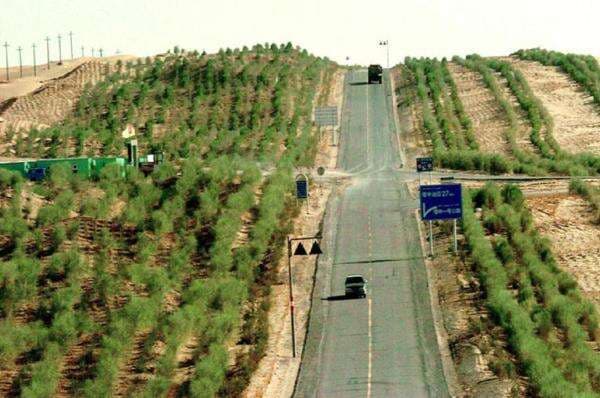 Tembok Hijau China di Gurun Taklimakan: Ambisi Besar yang Sisakan Masalah Ekologis Tembok Hijau China di Gurun Taklimakan: Ambisi Besar yang Sisakan Masalah Ekologis