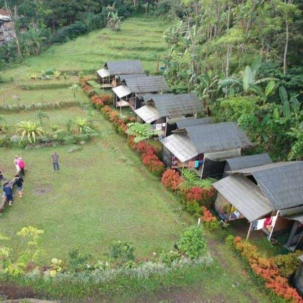 Tempat Camping di Bogor yang Ada Curugnya, Cocok Buat Healing Tempat Camping di Bogor yang Ada Curugnya, Cocok Buat Healing