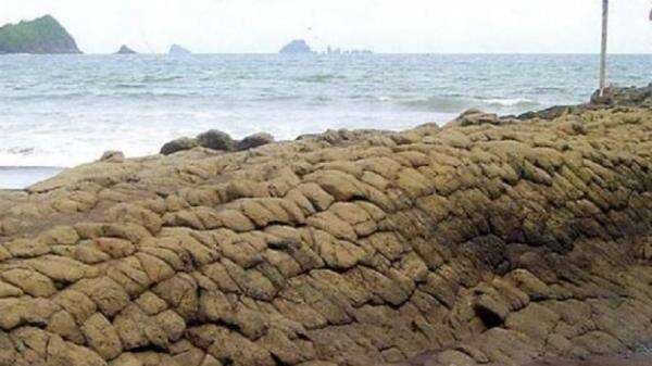 6 Tempat Wisata di Jember, Nomor 3 Legenda Ular Raksasa 6 Tempat Wisata di Jember, Nomor 3 Legenda Ular Raksasa