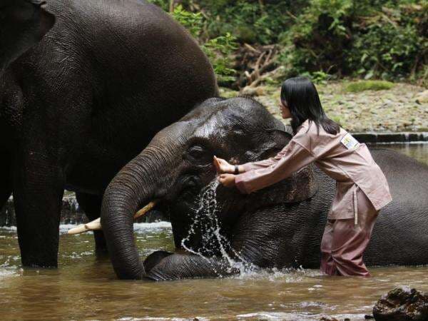 7 Tempat Wisata di Siantar yang Lagi Hits, Salah Satunya Kawasan Konservasi Gajah 7 Tempat Wisata di Siantar yang Lagi Hits, Salah Satunya Kawasan Konservasi Gajah