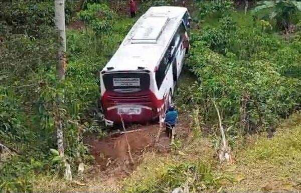Terhalang Kabut, Bus Berisi 18 Penumpang Terjun Bebas ke Jurang Sedalam 50 Meter Terhalang Kabut, Bus Berisi 18 Penumpang Terjun Bebas ke Jurang Sedalam 50 Meter