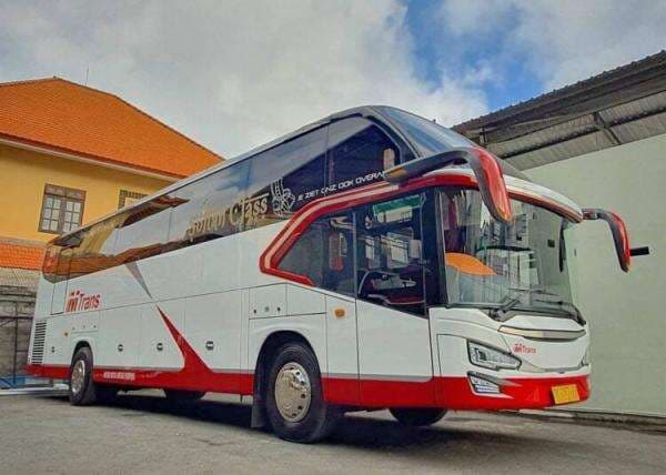 Ternyata Ini Pemilik PO MTrans yang Borong 26 Bus Baru Dilengkapi Kandang Macan Ternyata Ini Pemilik PO MTrans yang Borong 26 Bus Baru Dilengkapi Kandang Macan