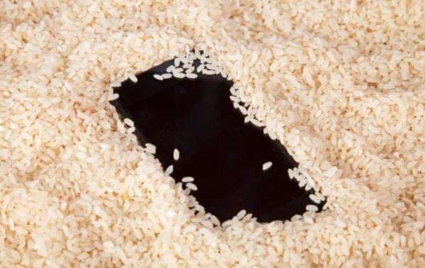 Ternyata Rendam HP di Beras Berbahaya, Ini Alasannya Ternyata Rendam HP di Beras Berbahaya, Ini Alasannya