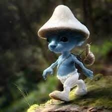 Ternyata Ini Arti Meme Smurf Cat yang Viral di Medsos, Bikin Ngakak Ternyata Ini Arti Meme Smurf Cat yang Viral di Medsos, Bikin Ngakak