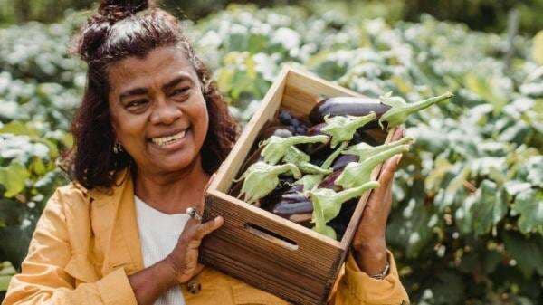 Daftar Manfaat Terong untuk Lansia, Awet Muda hingga Cegah Pikun Daftar Manfaat Terong untuk Lansia, Awet Muda hingga Cegah Pikun