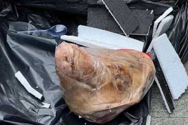 Teror Kepala Babi dan Bangkai Tikus ke Tempo, Iwakum: Kebebasan Pers Sedang Terancam Teror Kepala Babi dan Bangkai Tikus ke Tempo, Iwakum: Kebebasan Pers Sedang Terancam