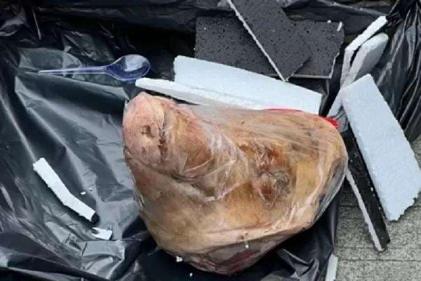 Teror Kepala Babi dan Bangkai Tikus ke Tempo, LPSK: Ancaman bagi Pembela HAM Teror Kepala Babi dan Bangkai Tikus ke Tempo, LPSK: Ancaman bagi Pembela HAM