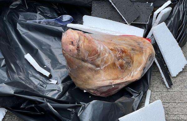 LPSK Beri Perlindungan ke Jurnalis Tempo Buntut Aksi Teror Kepala Babi dan Bangkai Tikus LPSK Beri Perlindungan ke Jurnalis Tempo Buntut Aksi Teror Kepala Babi dan Bangkai Tikus