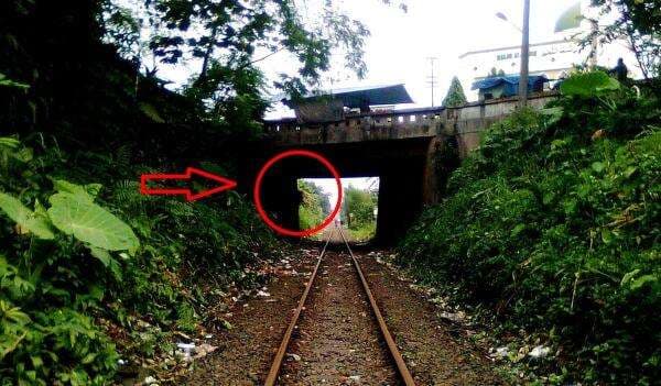 5 Tempat Paling Mistis di Bogor, Salah Satunya Terowongan Lokasi Kecelakaan Tragis 5 Tempat Paling Mistis di Bogor, Salah Satunya Terowongan Lokasi Kecelakaan Tragis