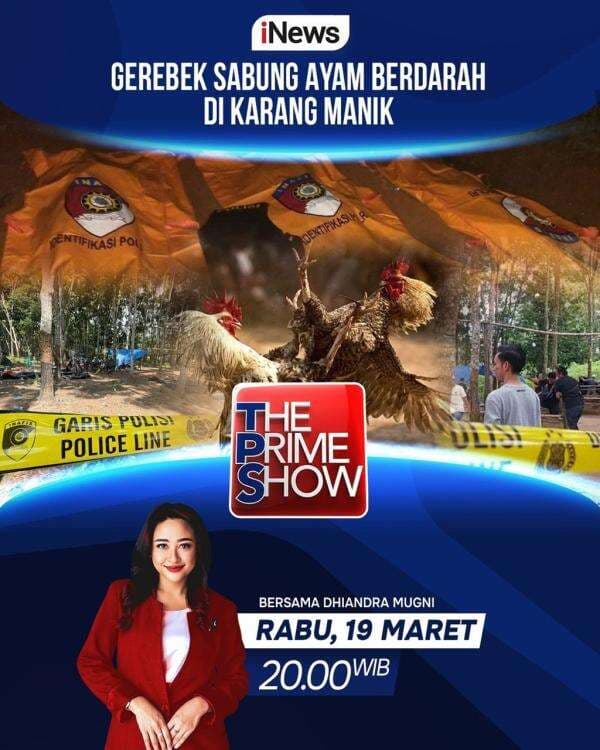 The Prime Show 'Gerebek Sabung Ayam Berdarah di Karang manik' Malam Ini Pukul 20.00 WIB, Hanya di iNews The Prime Show 'Gerebek Sabung Ayam Berdarah di Karang manik' Malam Ini Pukul 20.00 WIB, Hanya di iNews