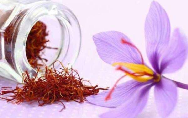 Tips Menjaga Kulit dari Efek Panas dengan Saffron Tips Menjaga Kulit dari Efek Panas dengan Saffron