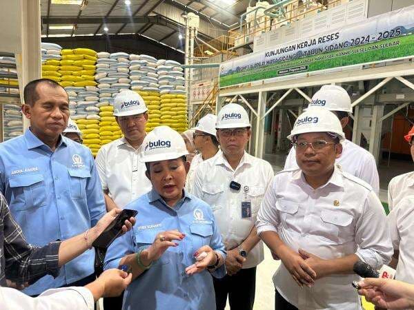 DPR Minta Bulog Intervensi Pasar, Harga Beras Harus Segera Normal DPR Minta Bulog Intervensi Pasar, Harga Beras Harus Segera Normal