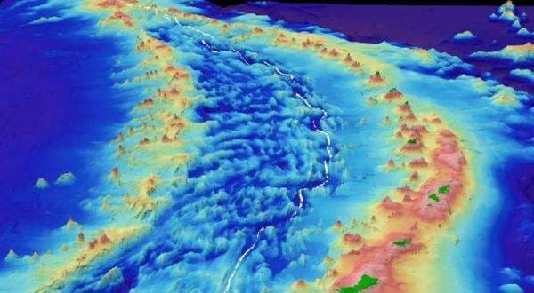 7.000 Lebih Spesies Baru Ditemukan di Titik Terdalam Lautan 7.000 Lebih Spesies Baru Ditemukan di Titik Terdalam Lautan