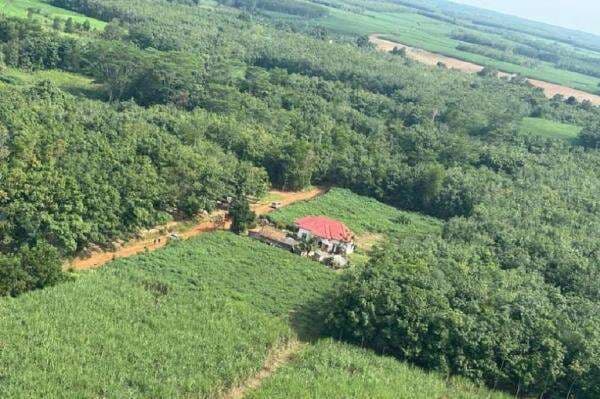 Penampakan dari Udara Arena Sabung Ayam TKP 3 Polisi Tewas Ditembak di Way Kanan Penampakan dari Udara Arena Sabung Ayam TKP 3 Polisi Tewas Ditembak di Way Kanan