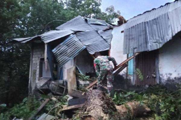 2 Rumah Rusak Tertimpa Pohon Tumbang di Talaud, Prajurit TNI Turun Tangan Bantu Warga 2 Rumah Rusak Tertimpa Pohon Tumbang di Talaud, Prajurit TNI Turun Tangan Bantu Warga