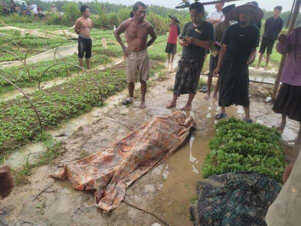 Tragis! Seorang Petani di Sampang Tewas Tersambar Petir Tragis! Seorang Petani di Sampang Tewas Tersambar Petir