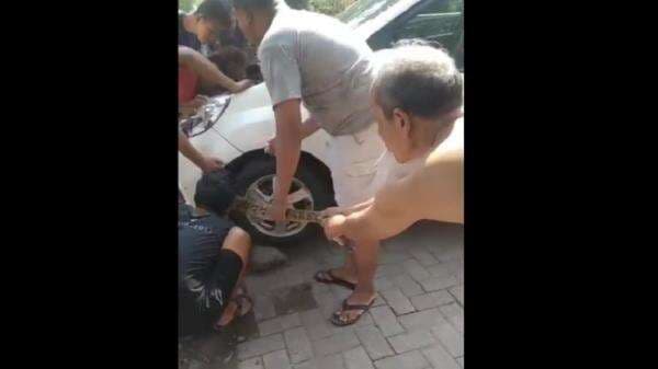 Mengerikan, Ular dari Hutan Gunung Prau Menyelinap ke Mesin Mobil Warga Mengerikan, Ular dari Hutan Gunung Prau Menyelinap ke Mesin Mobil Warga