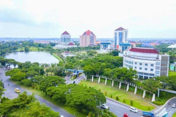 Unesa Buka Pendaftaran Seleksi Mandiri 2025, Jalur Prestasi dan Disabilitas! Unesa Buka Pendaftaran Seleksi Mandiri 2025, Jalur Prestasi dan Disabilitas!