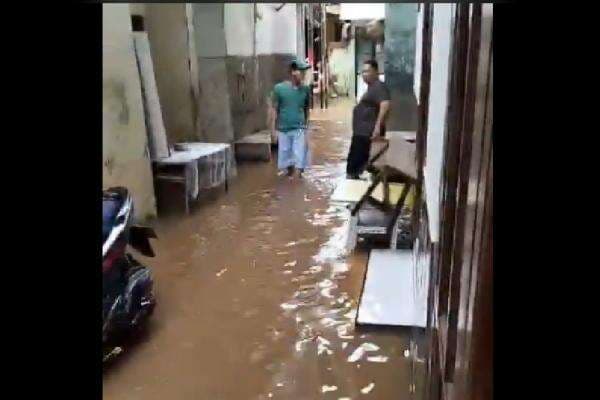 Update Banjir Jakarta: 29 RT Masih Terendam, Terparah di Cililitan Jaktim Setinggi 2,5 Meter Update Banjir Jakarta: 29 RT Masih Terendam, Terparah di Cililitan Jaktim Setinggi 2,5 Meter