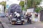 Viral Bak Spiderman Anggota Dishub Depok Naik di Bumper Depan Pikap, Begini Kronologinya Viral Bak Spiderman Anggota Dishub Depok Naik di Bumper Depan Pikap, Begini Kronologinya